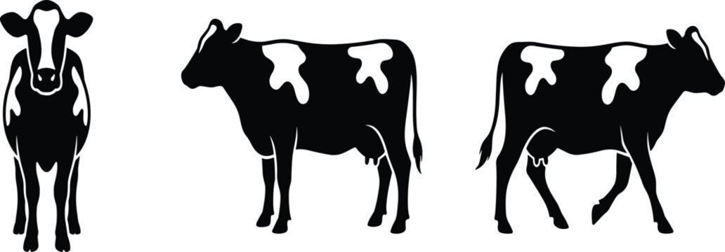 Holstein Friesian Dairy Cow Silhouette Vector Set with Front and Side Profile Poses for Agriculture Livestock Ranch Milk Production and Organic Farming Brand Logos
