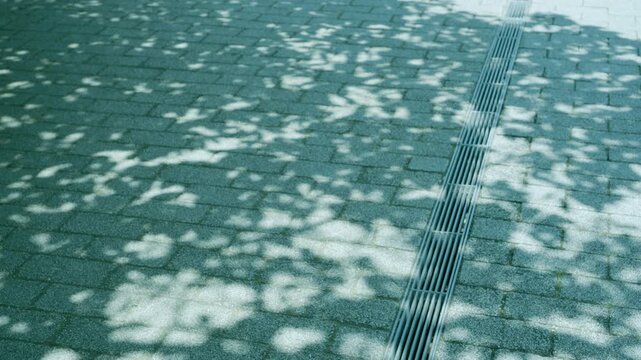 影　道路