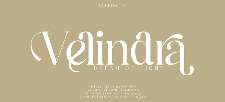 Elegant Font Uppercase Lowercase and Number. Classic Lettering Minimal Fashion Designs. Typography modern serif fonts regular decorative vintage concept. vector illustration