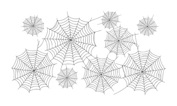 Collection of black spiderwebs white arachnid insect nature creepy