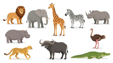Fototapeta premium Group of various wild animals standing.