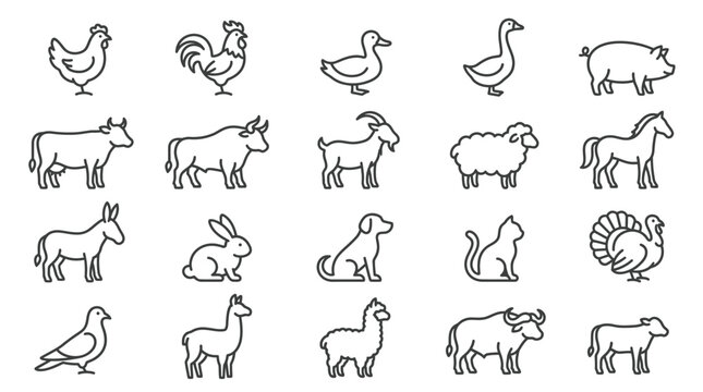 Farm animals in simple line drawings.