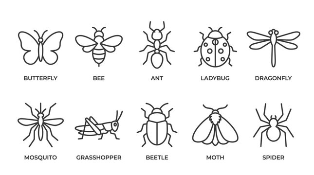 Insects icons set black outline.