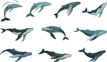 Detailed whale vector icons showing different swimming angles and tail movements for marine biology and nautical graphics. © Zahangir