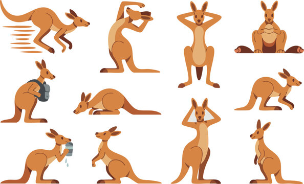 Funny kangaroo mascot poses including workout drinking water and resting gestures for versatile creative graphic designs.