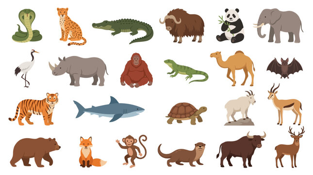 Variety of Wild Animals Species.