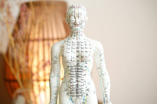 Meridianfigur f&uuml;r Akupunktmassage nach Penzel &ndash; APM Therapie und Akupunkturmodell