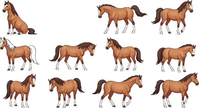 Cartoon brown horse vector illustration set with isolated stallion characters in different walking running and sitting posesCartoon brown horse vector illustration set with isolated stallion character