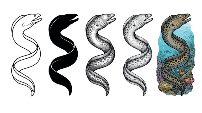 Moray eel illustrations showcase diverse artistic styles from simple outline to detailed engraving, stippling, and a vibrant underwater reef scene.