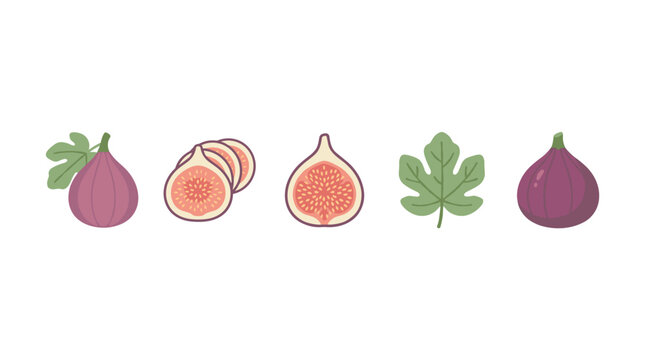 Figs, sliced figs, and fig leaves in a charming flat vector illustration style, showcasing fresh fruit elements for healthy eating concepts.