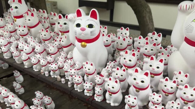 Lucky Cat temple in Tokyo Japan