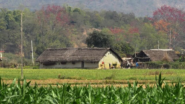 Dang, Nepal - 07 January 2024: View of traditional rural houses nestled among lush green fields and flowering trees with hills in the background.