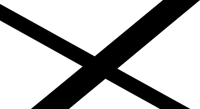 Black X shape on white background