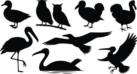 Set of black bird silhouettes featuring various species in different poses on white background © KhadizaAkter