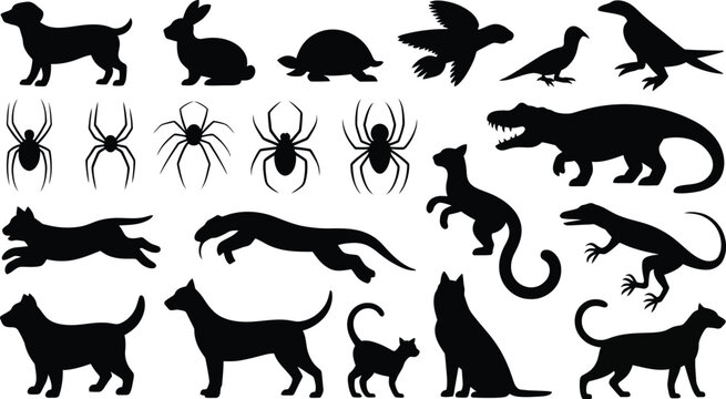 Black silhouette collection featuring various animals including spiders, dogs, cats and reptiles.