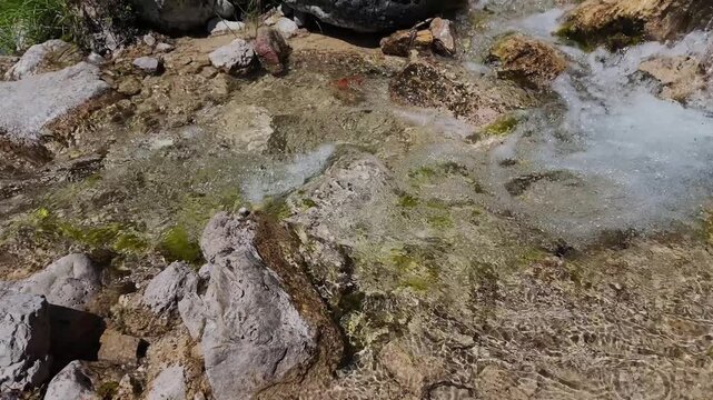 Clear rushing water flowing over mossy textured river rocks, bubbling mountain stream in sunlight, nature scene
