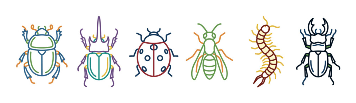Colorful outline insects and arthropods vector illustration set featuring various common bugs like beetles, a ladybug, wasp, and centipede.
