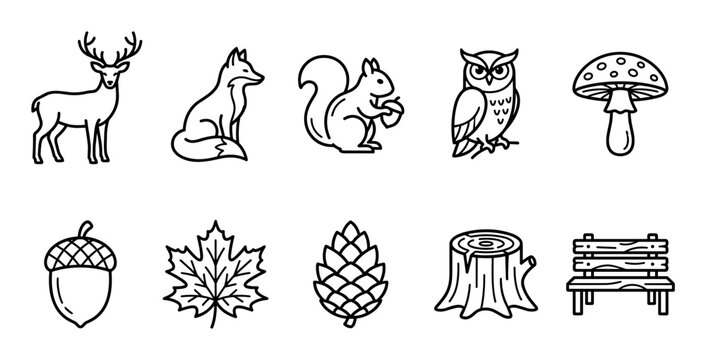 Forest woodland animals elements icons and nature objects are depicted in a clean outline style, offering versatile graphic resources for autumn and outdoor themes.