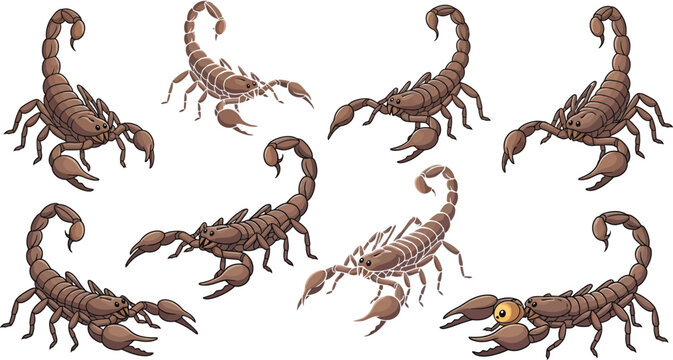 Scorpion cartoon character vector set featuring dangerous desert arachnid animal illustrations in multiple crawling action posesScorpion cartoon character vector set featuring dangerous desert arachni