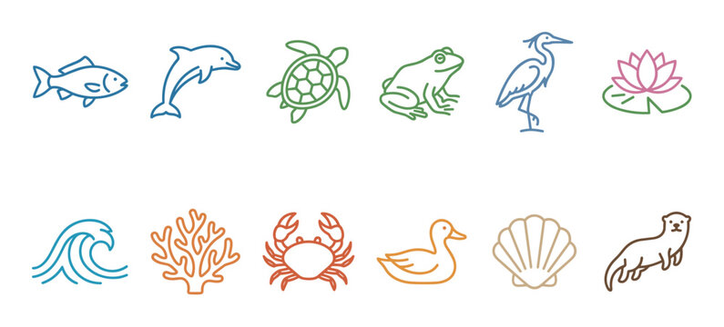 Colorful outline icons of aquatic animals and marine life depicting various creatures and elements from water habitats in a modern style.