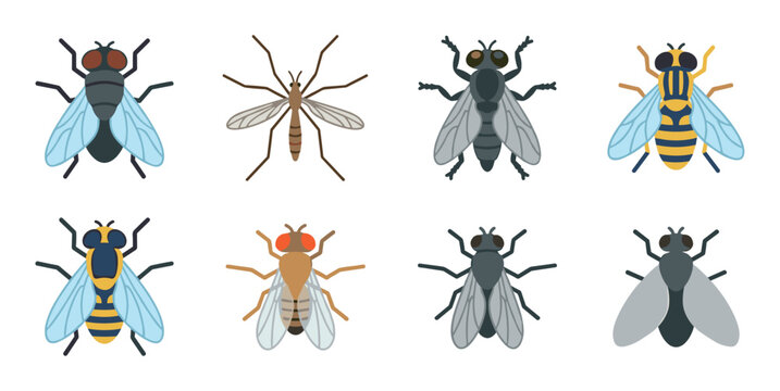 Various flying insect species vector illustrations showcasing common pests and beneficial bugs in a clean, modern flat design style.