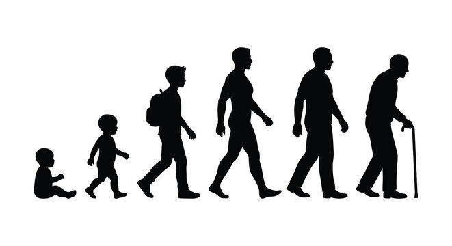 human life stages progression silhouette
