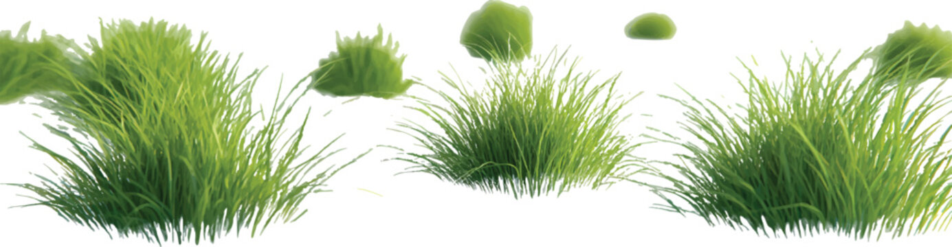 3d cartoon, multiple clumps of grass, on a transparent background