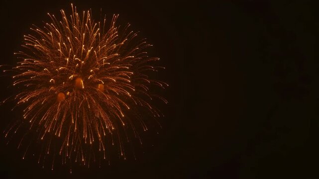 Golden fireworks display exploding in the dark night sky