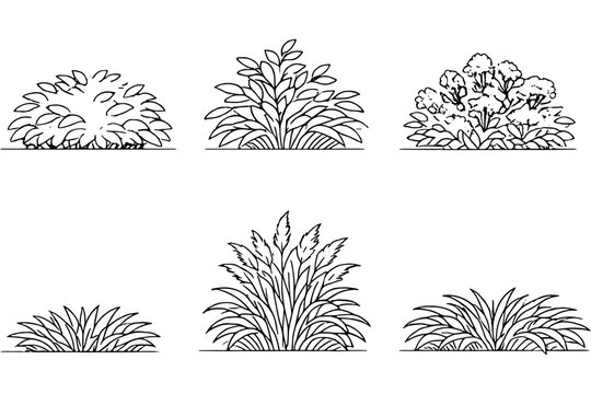 Architectural Shrub CAD Vector Pack for Landscaping