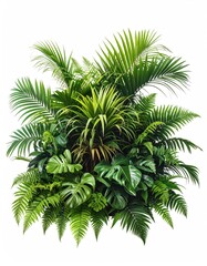 Fototapeta premium Lush tropical foliage with varied green leaves and fronds on white