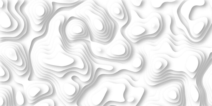 Abstract wavy line paper cut white background. Topographic geometric map relief texture with curved layers and shadow. topographic canyon map light relief texture, curved layers.