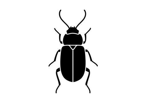 Black Beetle Insect Silhouette Illustration.