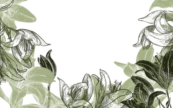 Hand drawn vector silhouette lily flowers frame with copy space. Floral border green monochrome illustration in engraving style. Botanical design element for Easter greeting card, wedding stationery.