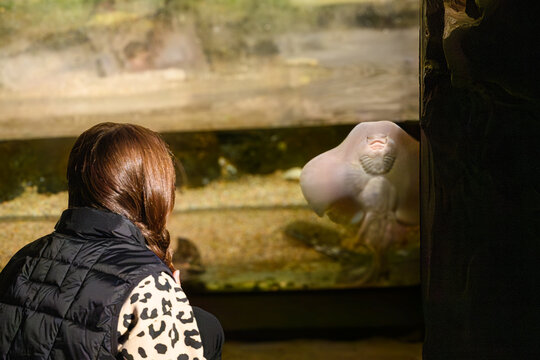 Woman watches rare pink frog with quiet fascination