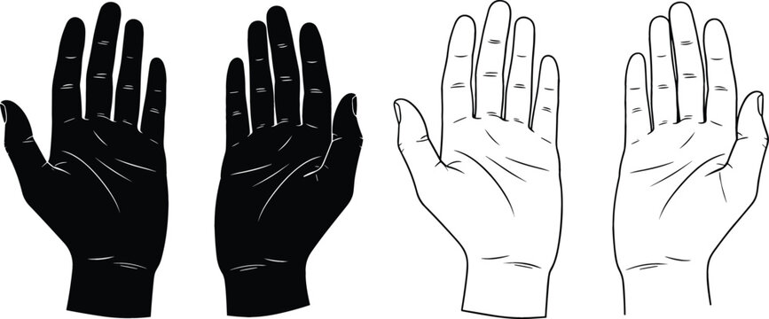 Vector Illustration of Human Hands in Open Position, Showing Palms in Black and White Silhouettes for Body, Gesture, Sign, and Communication Designs