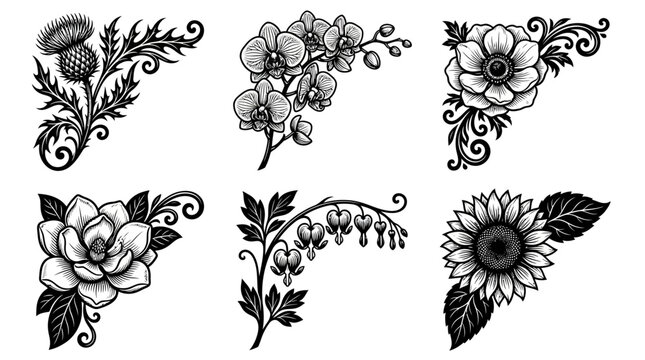 Decorative Floral Accents: A collection of six ornate floral corner design elements, featuring a thistle, orchid, anemone, magnolia, bleeding heart, and sunflower.