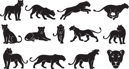 Black Panther Silhouette Collection Vector Set, Wild Cat Animal Poses Clipart, Big Cat Logo Bundle, Feline Shadow Illustration Isolated on White Background © abdullah