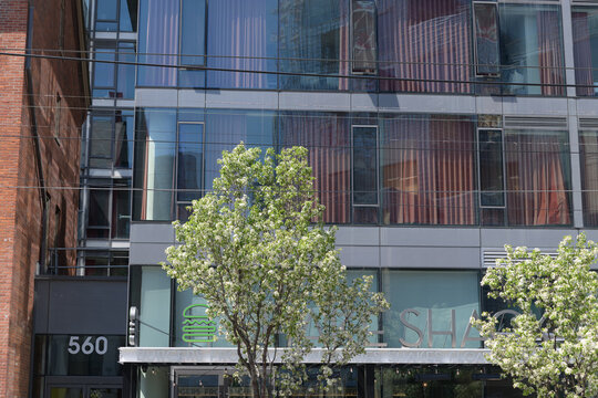 exterior building facade and sign of Shake Shack, a hamburger restaurant, located at 556 King St W, in Fashion House, Toronto