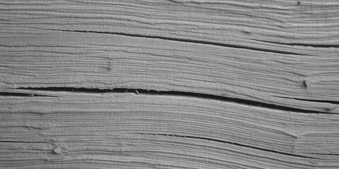 Fototapeta premium Close-up texture of weathered asphalt road surface with visible cracks and wear in natural daylight