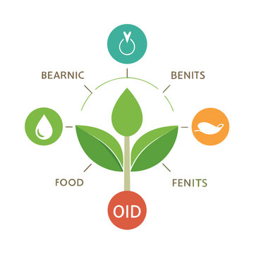 Illustration showing four essential elements supporting a plant growth concept with transparent background