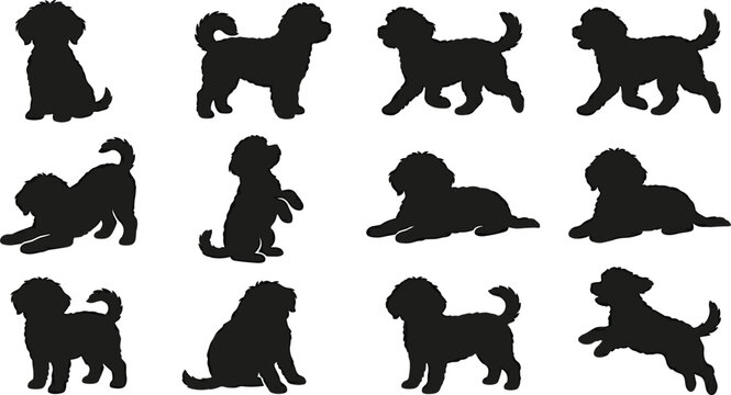 Cockapoo poodle dog silhouette vector set collection featuring sitting walking playing and jumping poses for pet designs