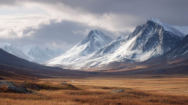 Beautiful arctic tundra and mountain peaks.