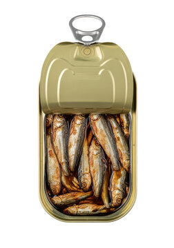 Open Rectangular Sardine Can with Pull Tab Isolated on White Background