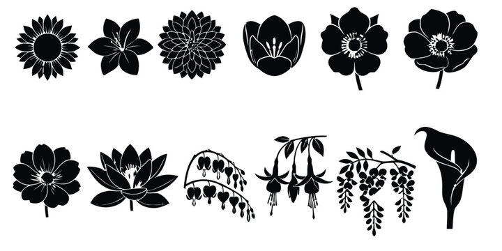 Detailed Flower Head and Blossom Silhouette Vector Collection
