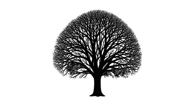 Minimal black silhouette icon, simple flat vector, bold black shape, no, no shading silhouette of a large deciduous tree with intricate branches on a, flat icon style