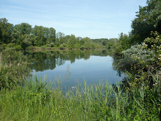 Fototapeta premium Lakeside Tranquility