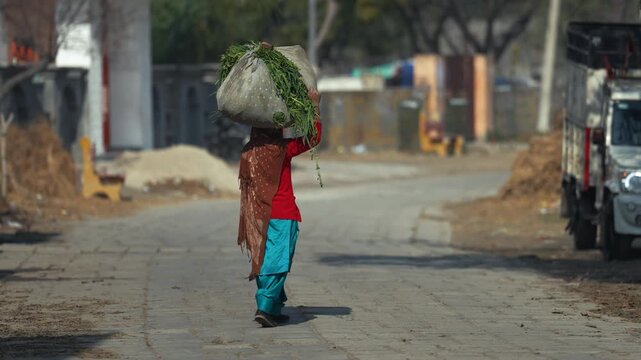 Patna, India - 06 November 2023: View of a woman carrying a large sack of green fodder on her head while walking along a paved street in a rural area.