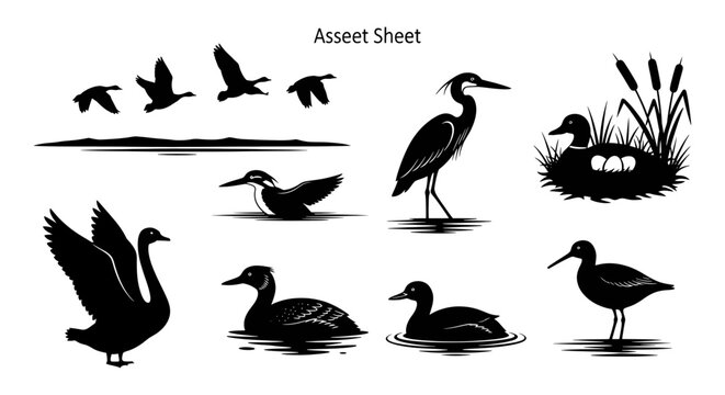 Black silhouettes of various ducks and herons in water and flying, with a nest and eggs.
