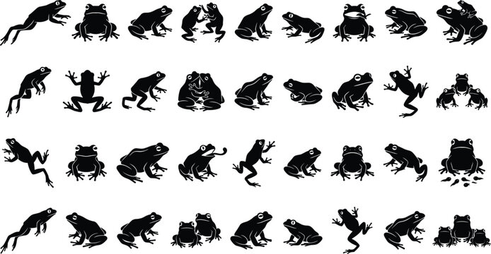 Frog silhouette collection with jumping sitting and amphibian poses isolated black animal vector set