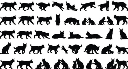 Lynx silhouette collection with walking sitting and playful wild cat poses isolated vector set © Shariyar